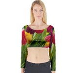 Images Tulip Red Long Sleeve Crop Top (Tight Fit)