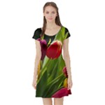 Images Tulip Red Short Sleeve Skater Dress