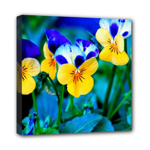 Wallpaper Flower Tulip Mini Canvas 8  x 8  (Stretched) from ArtsNow.com