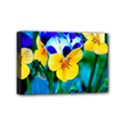 Mini Canvas 6  x 4  (Stretched) 