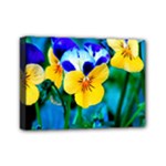 Wallpaper Flower Tulip Mini Canvas 7  x 5  (Stretched)