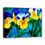 Wallpaper Flower Tulip Canvas 16  x 12  (Stretched)