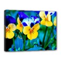 Canvas 16  x 12  (Stretched) 