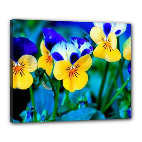 Wallpaper Flower Tulip Canvas 20  x 16  (Stretched) from ArtsNow.com