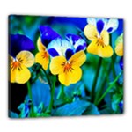 Wallpaper Flower Tulip Canvas 24  x 20  (Stretched)