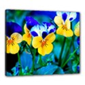 Canvas 24  x 20  (Stretched) 