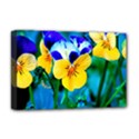 Deluxe Canvas 18  x 12  (Stretched) 