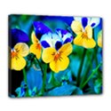 Deluxe Canvas 24  x 20  (Stretched) 