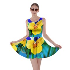 Skater Dress 