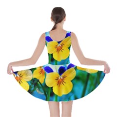 Skater Dress 
