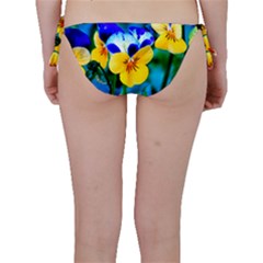 Bikini Bottoms 