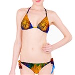 Abstract Paintings Bikini Set
