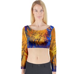 Long Sleeve Crop Top 