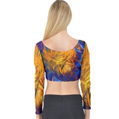 Long Sleeve Crop Top 