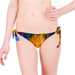Abstract Paintings Bikini Bottom
