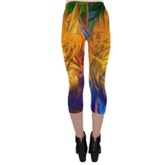 Capri Leggings  Back