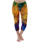 Abstract Paintings Capri Winter Leggings 