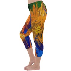 Capri Winter Leggings Back Capri Winter Leggings Back