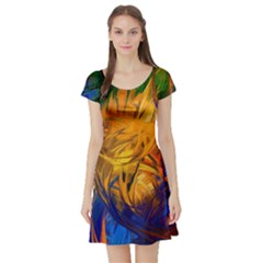 Short Sleeve Skater Dress Front Short Sleeve Skater Dress Front