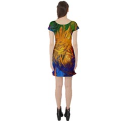Short Sleeve Skater Dress Back Short Sleeve Skater Dress Back