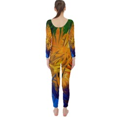 Long Sleeve Catsuit 