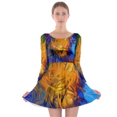 Long Sleeve Skater Dress 