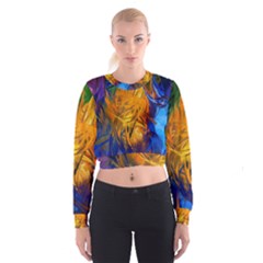 Cropped Sweatshirt 