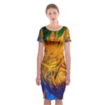 Abstract Paintings Classic Short Sleeve Midi Dress