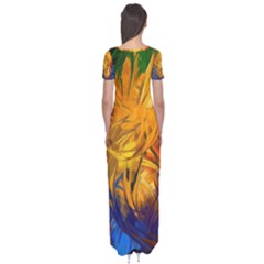 Short Sleeve Maxi Dress 