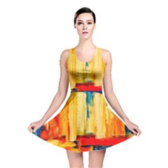 Reversible Skater Dress 