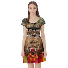 Short Sleeve Skater Dress Front Short Sleeve Skater Dress Front