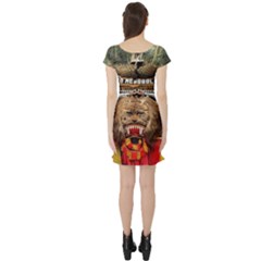 Short Sleeve Skater Dress Back Short Sleeve Skater Dress Back