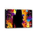 Mini Canvas 6  x 4  (Stretched) 