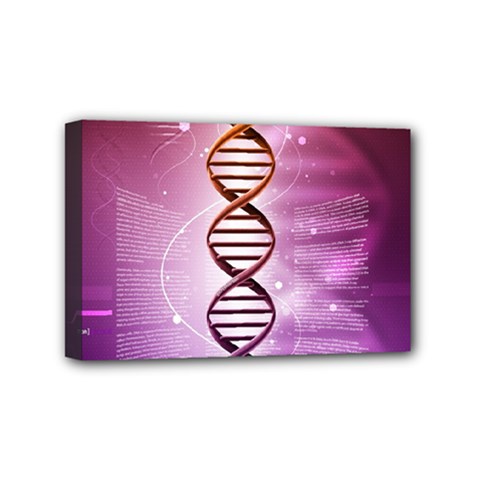 Dna Mini Canvas 6  x 4  (Stretched) from ArtsNow.com
