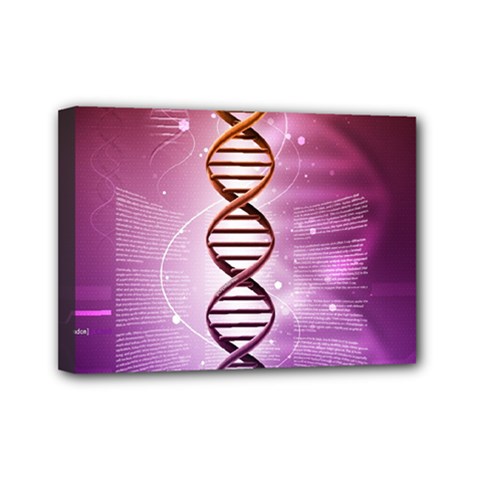 Dna Mini Canvas 7  x 5  (Stretched) from ArtsNow.com