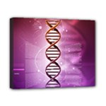 Dna Canvas 10  x 8  (Stretched)