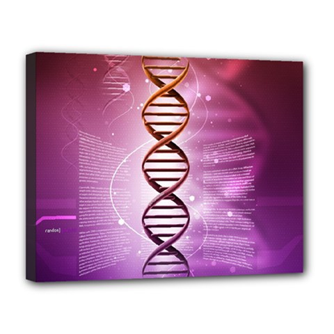 Dna Canvas 14  x 11  (Stretched) from ArtsNow.com