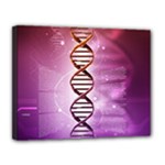 Dna Canvas 14  x 11  (Stretched)