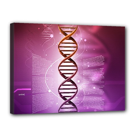 Dna Canvas 16  x 12  (Stretched) from ArtsNow.com