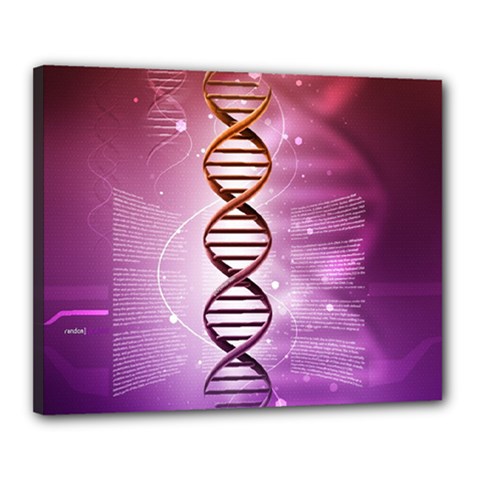 Dna Canvas 20  x 16  (Stretched) from ArtsNow.com