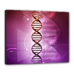 Dna Canvas 20  x 16  (Stretched)