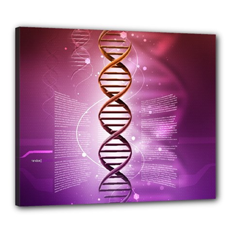 Dna Canvas 24  x 20  (Stretched) from ArtsNow.com