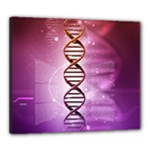 Dna Canvas 24  x 20  (Stretched)