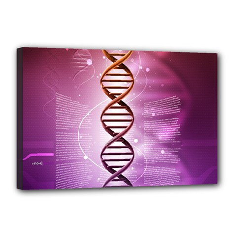 Dna Canvas 18  x 12  (Stretched) from ArtsNow.com
