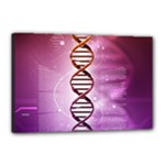 Dna Canvas 18  x 12  (Stretched)