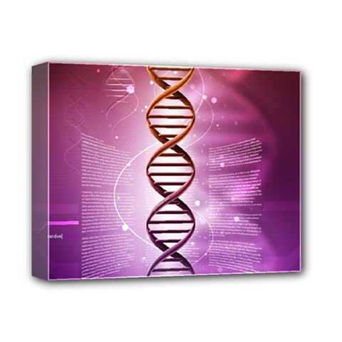 Dna Deluxe Canvas 14  x 11  (Stretched) from ArtsNow.com