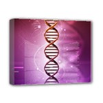 Dna Deluxe Canvas 14  x 11  (Stretched)