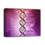 Dna Deluxe Canvas 16  x 12  (Stretched) 