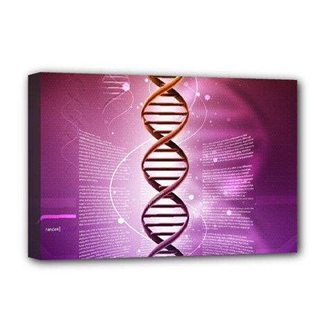 Dna Deluxe Canvas 18  x 12  (Stretched) from ArtsNow.com
