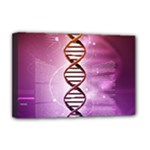 Dna Deluxe Canvas 18  x 12  (Stretched)
